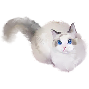可爱 宠物 家猫 小猫 手绘竽 猫咪 白色 野猫