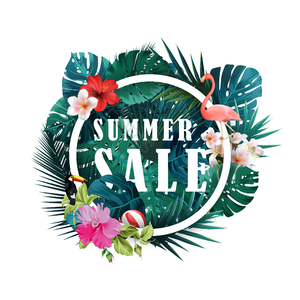 植物 树木 花 鹦鹉 热带植物边框 夏日边框 夏日 热带植物