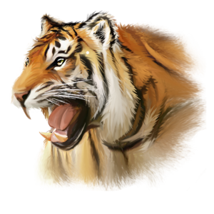 凶猛的 凶猛的 头像 猛兽 虎 兽 老虎夹 头剪贴画