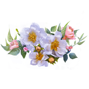 花簇 花卉 叶子 花环 植物 绿色 花束 白色