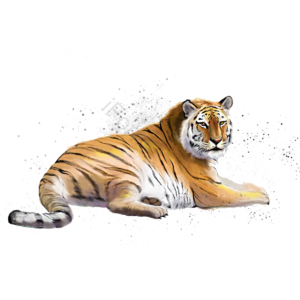 凶猛的 猛兽 虎 老虎花园 虎王 兽 剪贴画 老虎夹