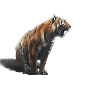 虎园 老虎 虎 野兽 走兽 动物 猛兽 凶猛