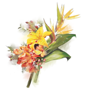 花 鲜花 花朵 花卉 植物 春天 清新 百合