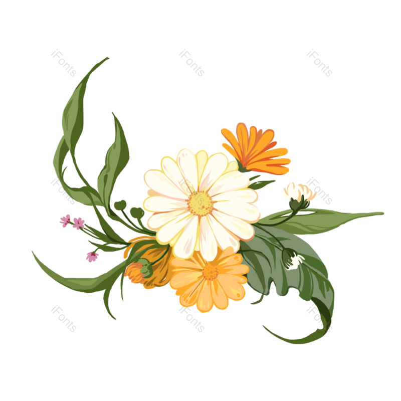 叶子图片,装饰元素,节日PNG,菊花免抠素材