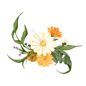 叶子 春天 植物 白色的花 节日 花草 花丛 花束