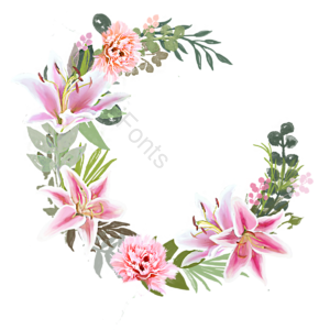 叶 休闲学习康乃馨 手绘竽 植物 百合 粉色 绿色 花丛花卉植物