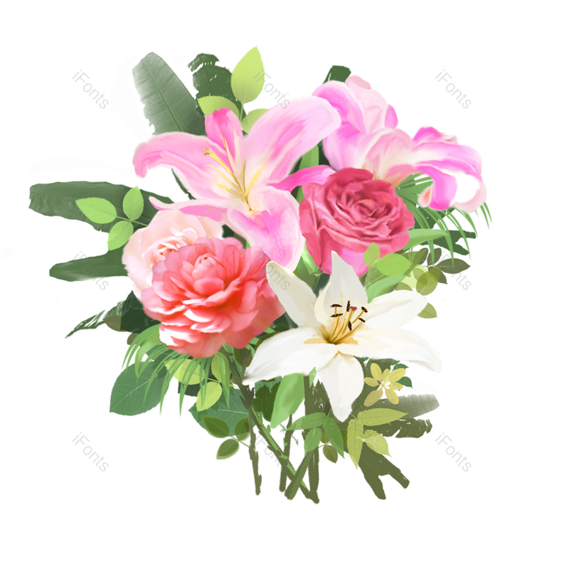 叶子图片,插画元素,花草PNG,白色免抠素材