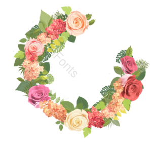 花卉 手绘 叶子 花环 花簇 花苞 粉红 绿色