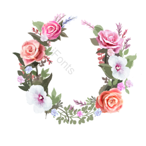 花簇 花苞 花卉 叶子 粉红 绿色 植物 花束
