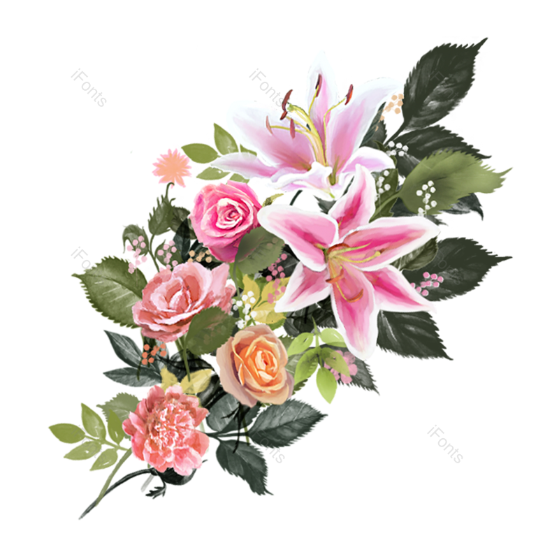 叶子图片,玫瑰元素,花草PNG,绿色免抠素材