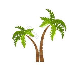 棕榈树 热带植物 树 椰子树 夏日