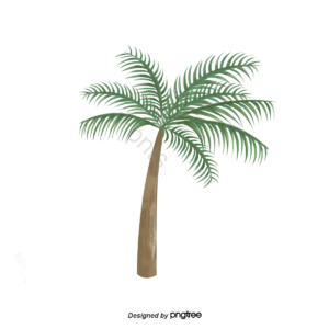 手绘竽 树 棕桐树 植物 水彩 绿色 植物绿植 水彩手绘