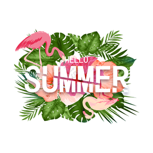 热带植物 夏日 夏日边框 热带植物边框 火烈鸟花