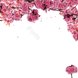 可爱 春天 植物 樱花 樱花边框 苍白 粉 浪花
