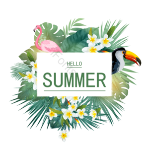 热带植物 夏日 夏日边框 热带植物边框 鹦鹉 花