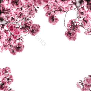 元素 可爱 春天 苍白 花 浪花 花球 花剪贴画