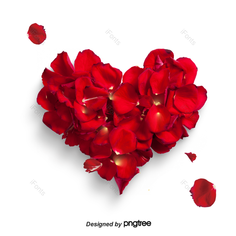 玫瑰图片,花瓣元素,心形PNG,红色免抠素材