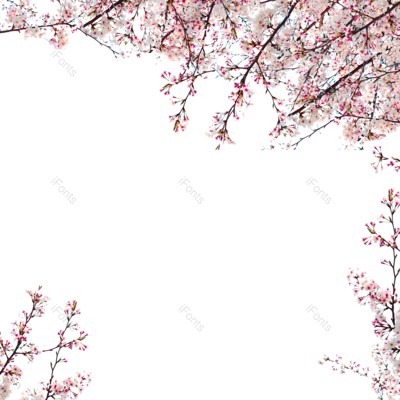 元素图片,清新元素,花朵PNG,树枝免抠素材