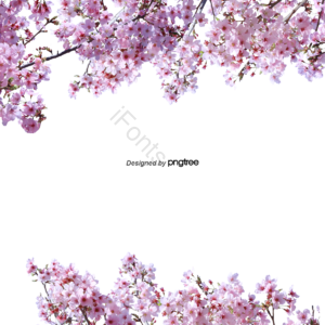 可爱 春天立春 植物 苍白 粉色 花呗 花朵圆形边框 浪花