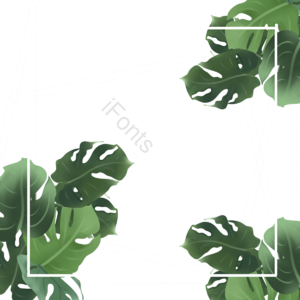 热带 植物 边框 手绘 创意 植物边框 夏季
