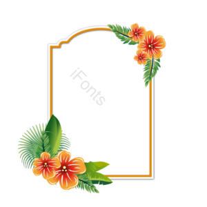 手绘竽 香橘 热带 简单的 绿叶叶子 花呗 花丛花卉植物 文框