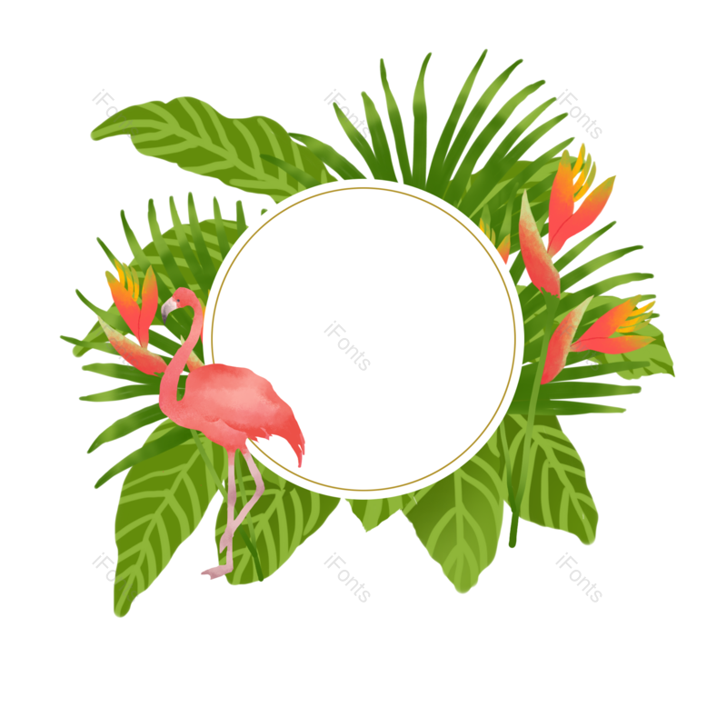 夏日图片,夏日边框元素,热带植物PNG,免抠素材