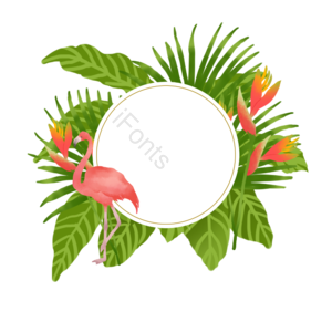 热带植物 夏日 夏日边框 热带植物边框 花 火烈鸟