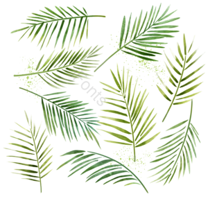 绿色水彩棕榈叶插画元素 叶子 植物 热带 水彩 绿色 插画 元素