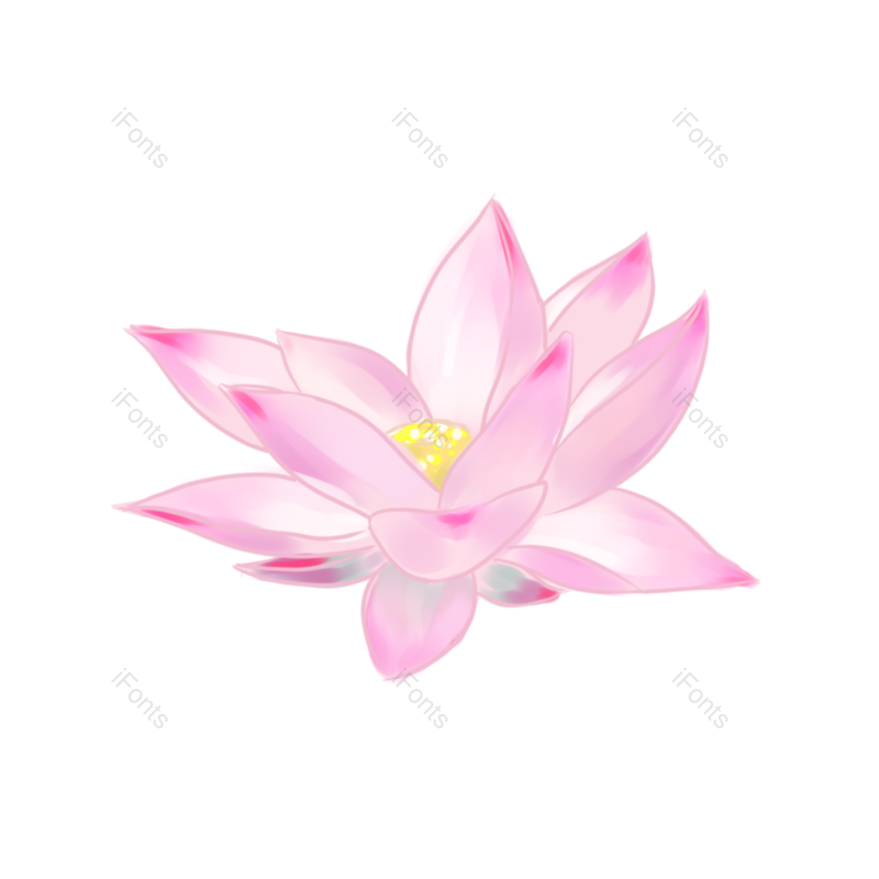 荷花图片,花朵元素,莲花PNG,植物免抠素材