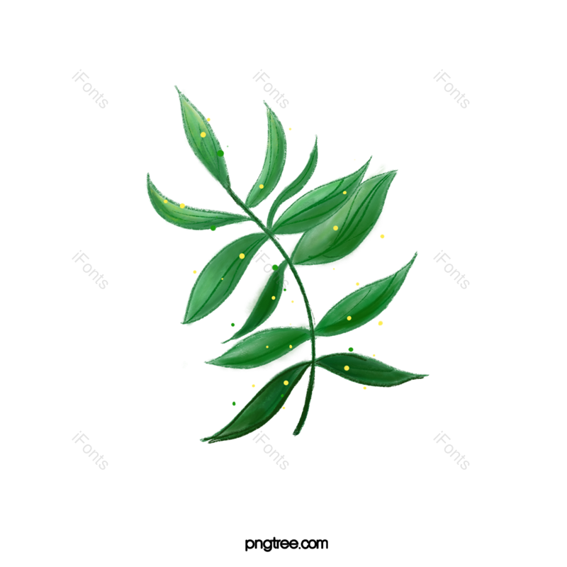 绿叶图片,绿色矢量图元素,春季PNG,绿色免抠素材