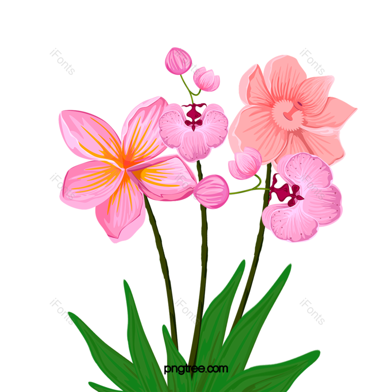花丛图片,花卉元素,花朵PNG,鲜花免抠素材