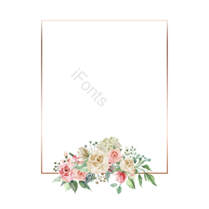 婚礼请贴 手绘竽 粉色 绿叶叶子 花呗 文框 花卉剪贴画 婚礼剪贴画