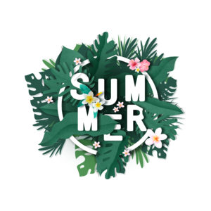 summer 立体 立体字体设计 夏日植物 热带植物 夏天banner