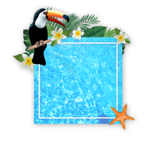 banner 商业banner 创意 夏日 夏日边框 夏日banner 夏日物体 太阳