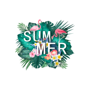summer 立体 立体字体设计 夏日植物 热带植物 火烈鸟 夏天banner