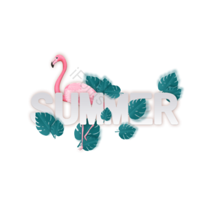 summer 立体 立体字体设计 夏日植物 热带植物 火烈鸟 夏天banner