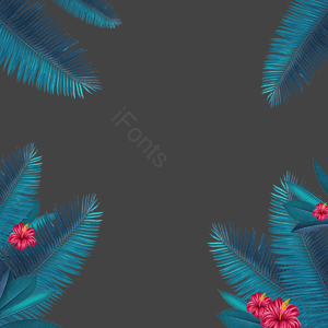 夏令 叶 植物 植物边界 热带 花呗 花卉剪贴画 叶剪贴画
