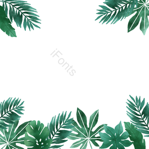 元素 夏季 叶 植物 水彩 热带 文框 叶剪贴画