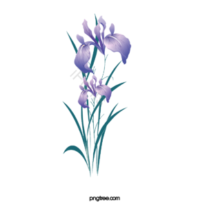 矢量花 花 虹膜 虹膜矢量图 花剪贴画 日本剪贴画 日本