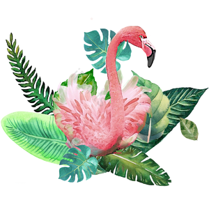 火烈鸟 热带 夏日 手绘 花卉 绿色 叶子 红色