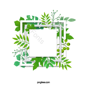 边框 绿色公寓 自然 帧剪贴画 方框