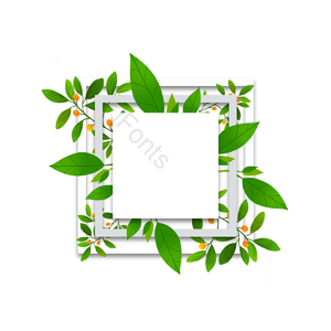 框架 自然 扁平 叶子 植物 清新自然 绿色 