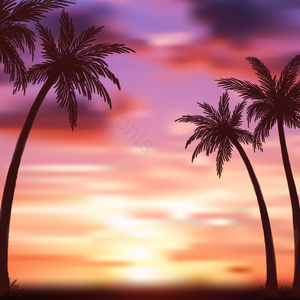 夏季 背景 夏天背景 时代 热带的 享受 浪漫主义者 假期