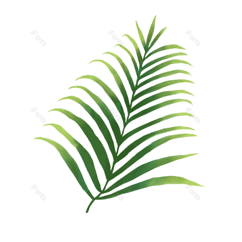 夏天图片,树叶元素,春季PNG,植物免抠素材