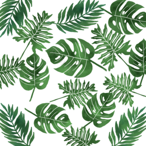 棕榈叶 水彩 热带 热带植物 热带植物背景 风剪贴画 植物剪贴画 水彩剪贴画
