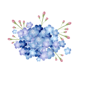 花 鲜花 花朵 花卉 植物 春天 清新 水墨