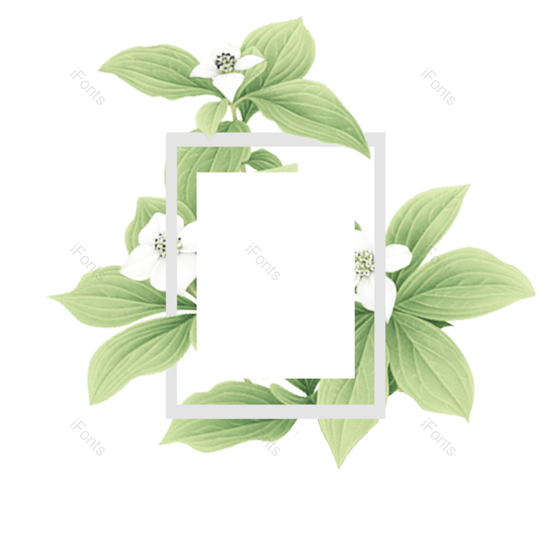 叶子图片,水彩叶子元素,春季PNG,自然免抠素材