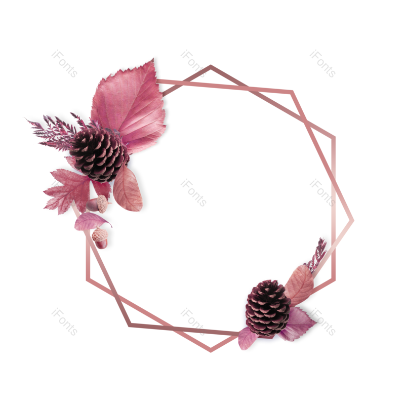 婚礼边框图片,创意边框元素,几何PNG,粉色免抠素材