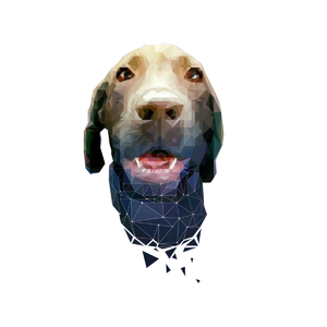 多边形 动物 宠物 拉布拉多 犬 狗