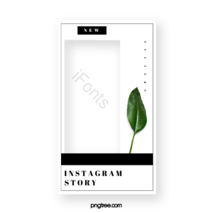 边框 广告展示框 植物 社交媒体 简约 Instagram